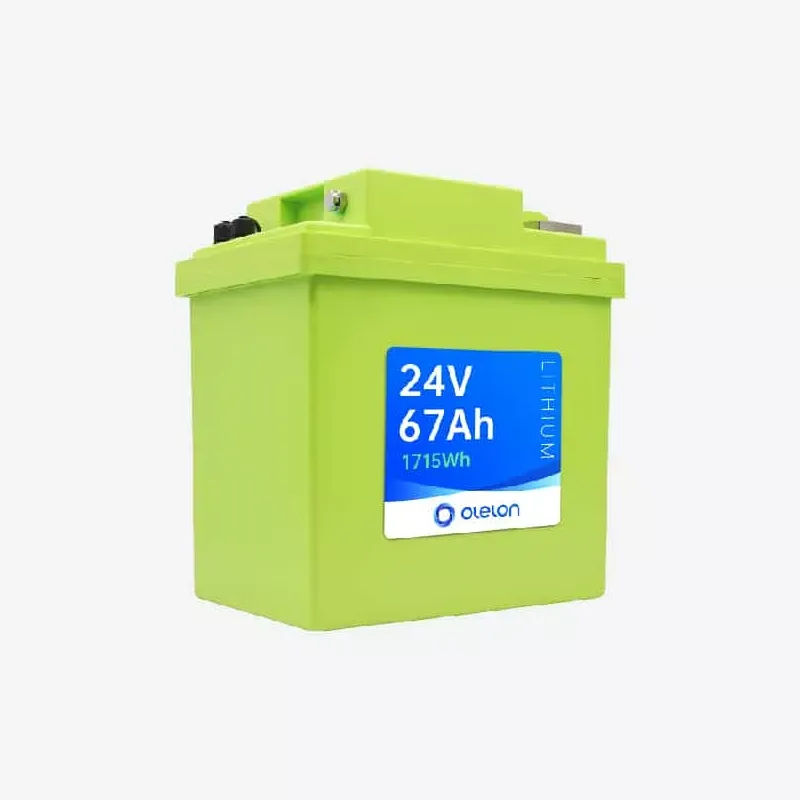 Batteria modulare LiFePO4 da 24 V 67 Ah