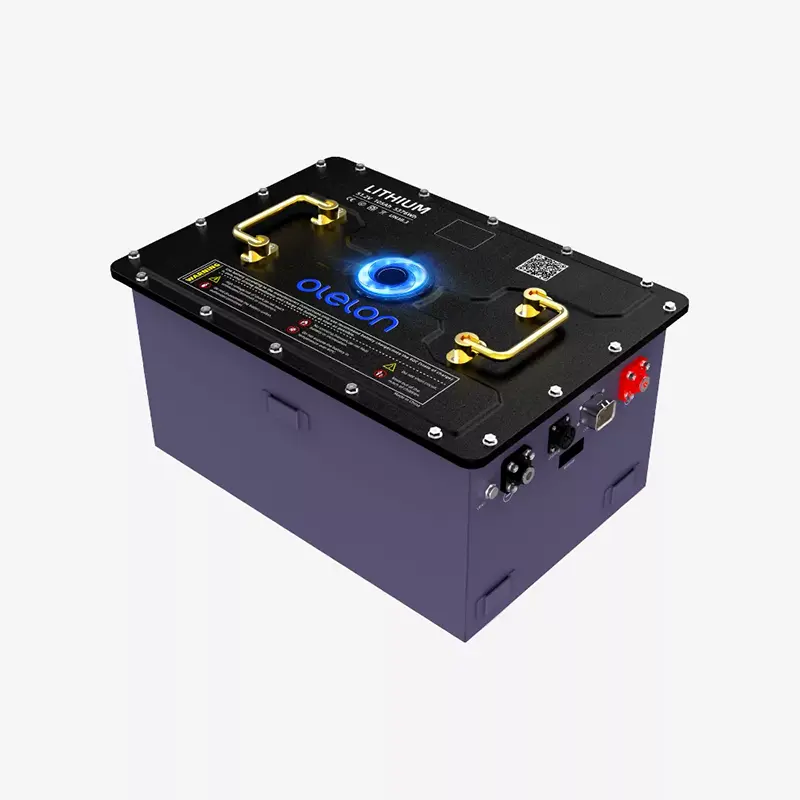 Batteria al litio per carrello da golf LiFePO4 da 51,2 V 105 Ah