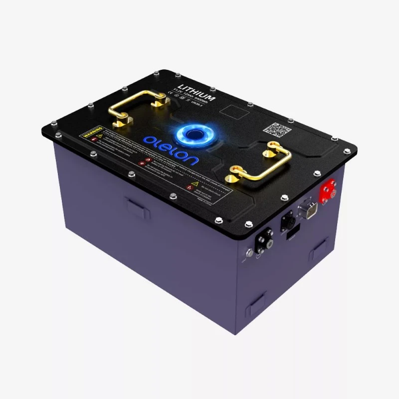 Batteria al litio per carrello da golf LiFePO4 da 51,2 V (48 V) 125 Ah