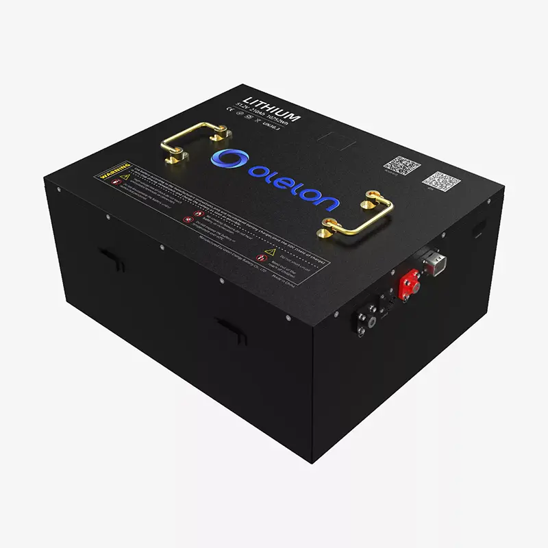 Batteria al litio per carrello da golf LiFePO4 da 51,2 V (48 V) 210 Ah